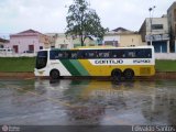 Empresa Gontijo de Transportes 15290 na cidade de Ribeirão Preto, São Paulo, Brasil, por Edivaldo Santos. Número da foto: #287912.