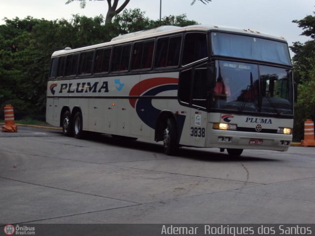 Pluma Conforto e Turismo 3838 na cidade de São Paulo, São Paulo, Brasil, por Adems  Equipe 19. Número da foto: #291147.