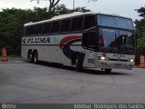 Pluma Conforto e Turismo 3838 na cidade de São Paulo, São Paulo, Brasil, por Adems  Equipe 19. Número da foto: #291147.
