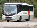 Borborema Imperial Transportes 821 na cidade de Vitória de Santo Antão, Pernambuco, Brasil, por Renato Barros. Número da foto: #:id.