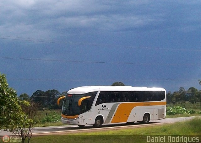 Viação Araguarina 11017 na cidade de Samambaia, Distrito Federal, Brasil, por Daniel Rodrigues. Número da foto: #293517.