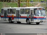 Transporte Tropical 4102 na cidade de Aracaju, Sergipe, Brasil, por Wallace Silva. Número da foto: #:id.