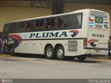 Pluma Conforto e Turismo 3405 na cidade de Sorocaba, São Paulo, Brasil, por Elias  Junior. Número da foto: #298412.