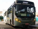 Viação Trevisan e Logística 22409 na cidade de Piracicaba, São Paulo, Brasil, por Giovani Alencar. Número da foto: #:id.