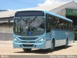 Transol Transportes Coletivos 0275 na cidade de Duque de Caxias, Rio de Janeiro, Brasil, por Filipe Rocha. Número da foto: #299863.