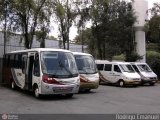 Rouxinol 828 na cidade de Contagem, Minas Gerais, Brasil, por Rodrigo Emanuel. Número da foto: #:id.