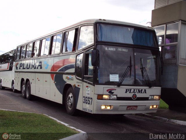 Pluma Conforto e Turismo 3657 na cidade de Florianópolis, Santa Catarina, Brasil, por Daniel Motta. Número da foto: #276986.