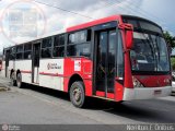 Himalaia Transportes > Ambiental Transportes Urbanos 4 1110 na cidade de São Paulo, São Paulo, Brasil, por Nerilton F.  ônibus. Número da foto: #279540.