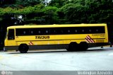 Viação Itapemirim 30163 na cidade de São Paulo, São Paulo, Brasil, por Wellington Azevedo. Número da foto: #279137.