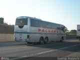 Paluana Transportes 15120 na cidade de Campinas, São Paulo, Brasil, por Rodrigo Madaschi. Número da foto: #:id.