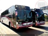 Sanplay Turismo 17000 na cidade de São Paulo, São Paulo, Brasil, por Nerilton F.  ônibus. Número da foto: #593347.