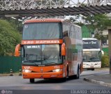 Viação São Raphael 9000 na cidade de São Paulo, São Paulo, Brasil, por EDUARDO - SOROCABUS. Número da foto: #593836.