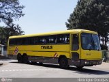 Viação Itapemirim 24015 na cidade de Guarulhos, São Paulo, Brasil, por Henrique Douglas. Número da foto: #594161.