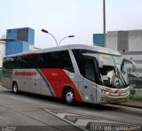 Viação Ouro Branco 16803 na cidade de São Paulo, São Paulo, Brasil, por EDUARDO - SOROCABUS. Número da foto: #610562.