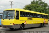 Viação Itapemirim 41037 na cidade de Teresina, Piauí, Brasil, por Antonio José. Número da foto: #620470.