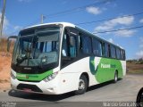 Pássaro Verde 24011 na cidade de Viçosa, Minas Gerais, Brasil, por Márcio Gonçalves. Número da foto: #:id.