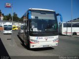 Vanini Transportes 1229 na cidade de Lisbon, Lisbon, Portugal, por Felipe Gonzalez. Número da foto: #622498.