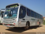 Pinheiro Tour 800 na cidade de Itaguaí, Rio de Janeiro, Brasil, por Renan Vieira. Número da foto: #595699.