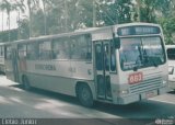 Borborema Imperial Transportes 683 na cidade de Recife, Pernambuco, Brasil, por Clébio Júnior. Número da foto: #595129.