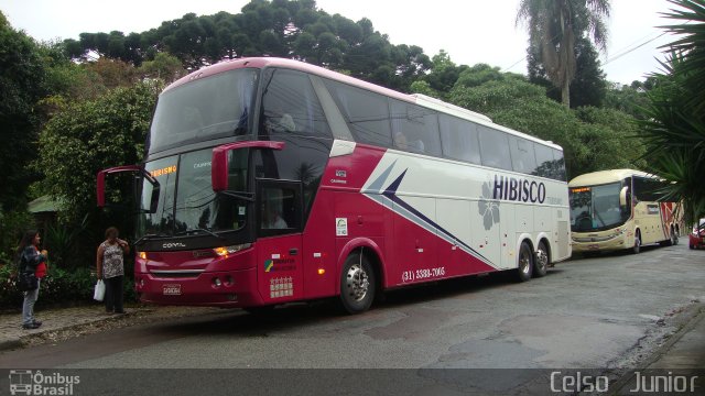 Hibisco Turismo 1000 na cidade de Curitiba, Paraná, Brasil, por Celso  Junior. Número da foto: #624140.