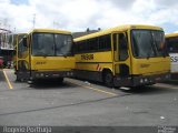 Viação Itapemirim 30167 na cidade de Aparecida, São Paulo, Brasil, por  Rogerio Porttuga. Número da foto: #626522.