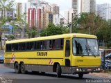 Viação Itapemirim 30159 na cidade de Ribeirão Preto, São Paulo, Brasil, por Fernando Reis. Número da foto: #629779.
