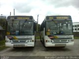 Transturismo Rio Minho RJ 166.030 na cidade de Niterói, Rio de Janeiro, Brasil, por Marcelo Candido de Oliveira. Número da foto: #631442.