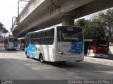 Transwolff Transportes e Turismo 6 6138 na cidade de São Paulo, São Paulo, Brasil, por Roberto Teixeira. Número da foto: #635168.