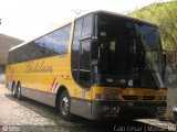 Viação Itapemirim 45259 na cidade de Muriaé, Minas Gerais, Brasil, por Caio César de Freitas Lopes. Número da foto: #597994.