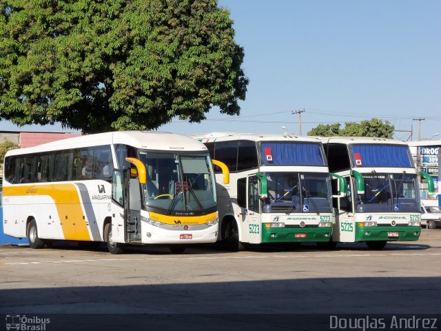 Viação Araguarina 11013 na cidade de Goiânia, Goiás, Brasil, por Douglas Andrez. Número da foto: #598904.