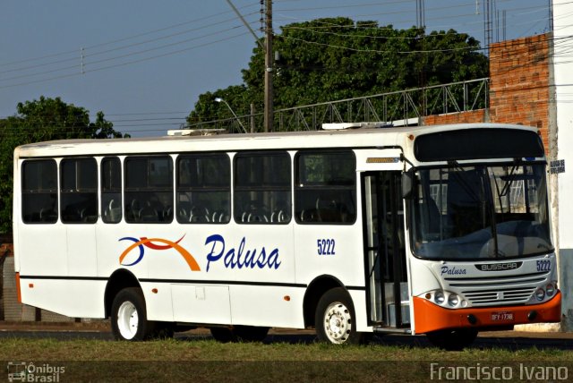 Empresa de Turismo Palusa 5222 na cidade de Assis, São Paulo, Brasil, por Francisco Ivano. ID da foto: 602624.