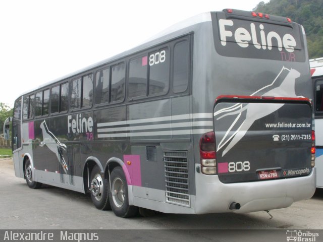 Feline Tur 808 na cidade de Rio de Janeiro, Rio de Janeiro, Brasil, por Alexandre  Magnus. Número da foto: #603425.