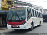 Viação Andorinha Rio D59106 na cidade de Rio de Janeiro, Rio de Janeiro, Brasil, por Zé Ricardo Reis. Número da foto: #:id.