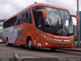 Viação São Raphael 8300 na cidade de São Paulo, São Paulo, Brasil, por Adems  Equipe 19. Número da foto: #666695.