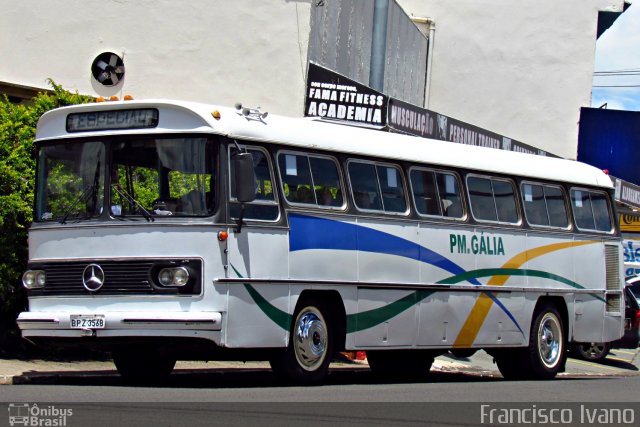 Prefeitura Municipal de Gália  na cidade de Marília, São Paulo, Brasil, por Francisco Ivano. Número da foto: #674841.