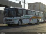 Renatur - Renato Turismo 8820 na cidade de Pelotas, Rio Grande do Sul, Brasil, por Felipe Alves. ID da foto: :id.