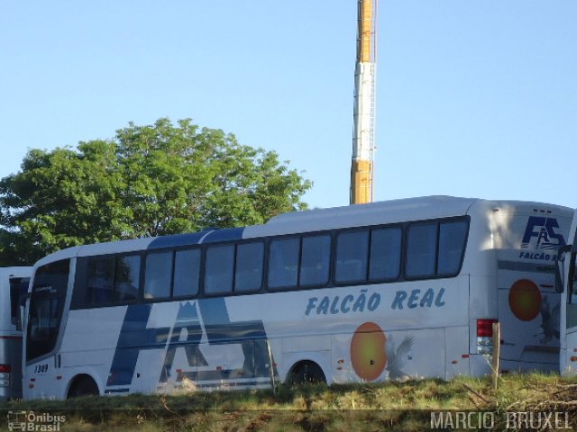 Falcão Real 1309 na cidade de Erechim, Rio Grande do Sul, Brasil, por Marcio  Bruxel. Número da foto: #679535.