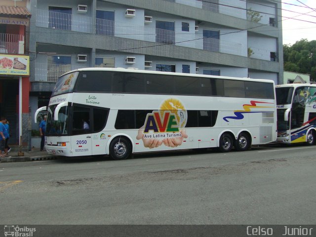 Ave Latina Turismo 2050 na cidade de Aparecida, São Paulo, Brasil, por Celso  Junior. Número da foto: #679205.