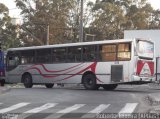 ETCD - Empresa de Transporte Coletivo de Diadema 008 na cidade de Diadema, São Paulo, Brasil, por Roberto Teixeira. Número da foto: #679152.
