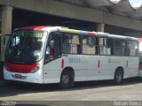 Rio Rotas Transporte e Turismo D81016 na cidade de Rio de Janeiro, Rio de Janeiro, Brasil, por Renan Vieira. Número da foto: #681088.