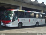 Rio Rotas Transporte e Turismo D81123 na cidade de Rio de Janeiro, Rio de Janeiro, Brasil, por Renan Vieira. Número da foto: #681290.