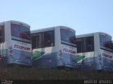 Rosa Turismo  na cidade de Erechim, Rio Grande do Sul, Brasil, por Marcio  Bruxel. Número da foto: #683534.