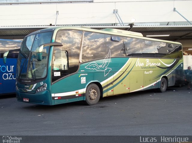 Asa Branca Turismo 33 na cidade de Belo Horizonte, Minas Gerais, Brasil, por Lucas Henrique . Número da foto: #686387.