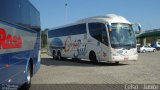 Costa Sul Turismo 1316 na cidade de Aparecida, São Paulo, Brasil, por Celso  Junior. Número da foto: #689848.