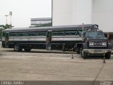 Ônibus Particulares PAPA-FILA na cidade de São Paulo, São Paulo, Brasil, por Clébio Júnior. Número da foto: #690157.