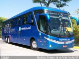 Expresso do Sul 9101 na cidade de São Paulo, São Paulo, Brasil, por Rodrigo  Bernardino. Número da foto: #653436.