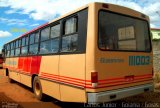 Auto Viação Goianésia 111003-4 na cidade de Goiânia, Goiás, Brasil, por Carlos Júnior. Número da foto: #657864.