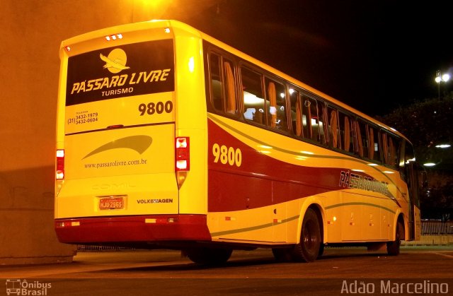 Viação Pássaro Livre 9800 na cidade de Belo Horizonte, Minas Gerais, Brasil, por Adão Raimundo Marcelino. ID da foto: 660216.