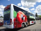 Eucatur - Empresa União Cascavel de Transportes e Turismo 4805 na cidade de Caxias do Sul, Rio Grande do Sul, Brasil, por Marcio  Bruxel. Número da foto: #694700.