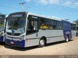 Stadtbus 1133 na cidade de Cachoeirinha, Rio Grande do Sul, Brasil, por Jose  Fernando. Número da foto: #712537.